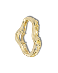 The Gold Claw Clip